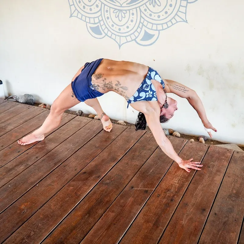 The Yoga Loft