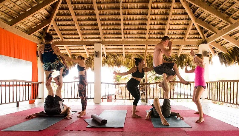 The Yoga Loft