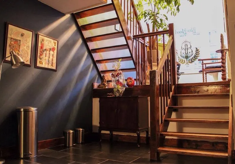 The Blue Blood Studios