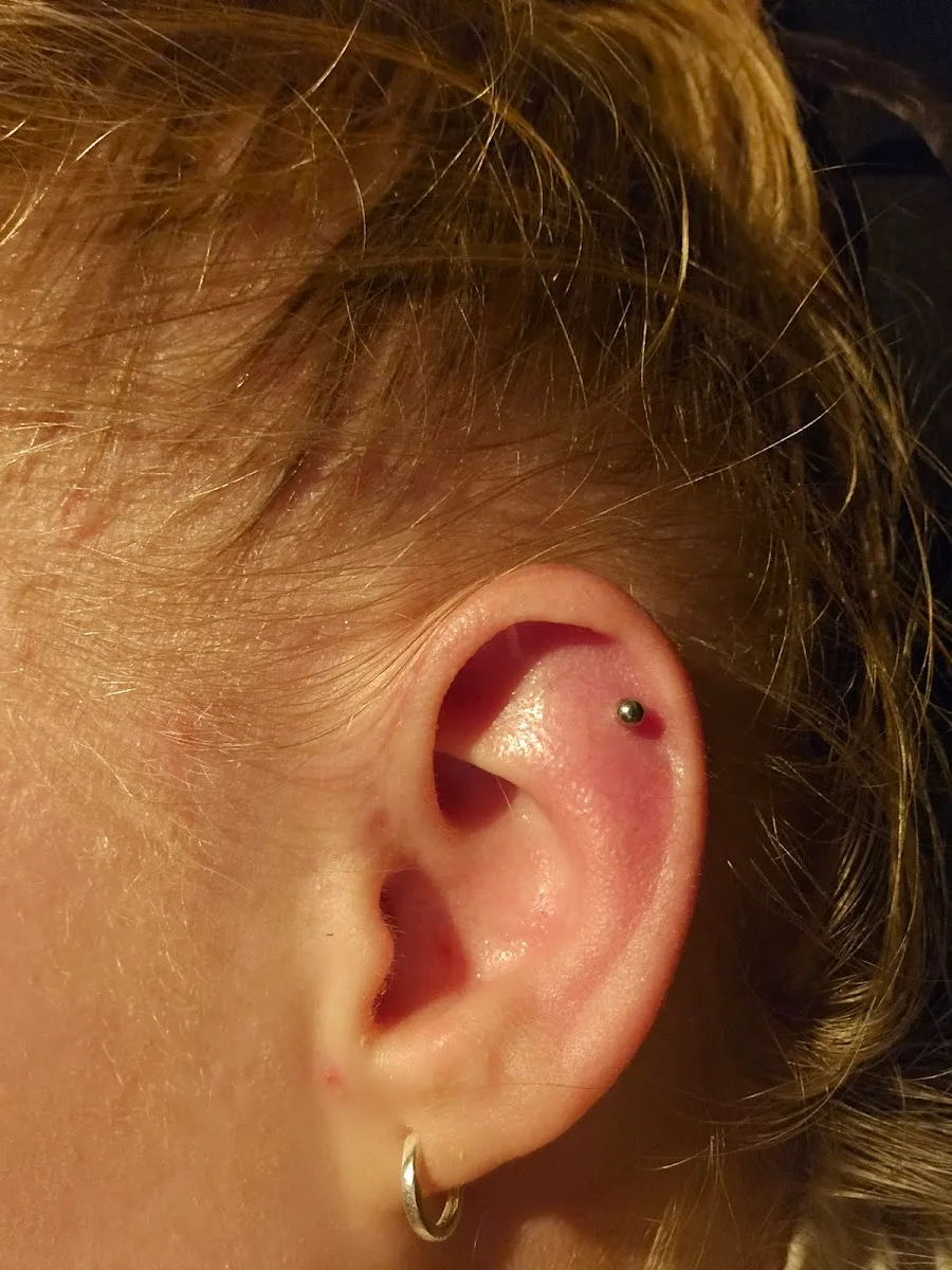 Posh Piercing Studio Oslo