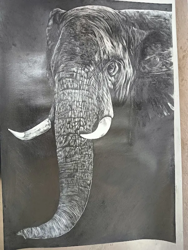 Lalitha Visual Arts