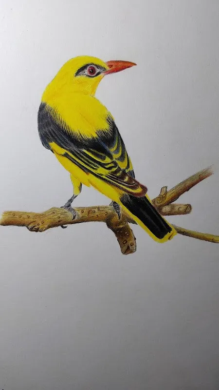 KalaGrantha Arts & Tattoo Studio