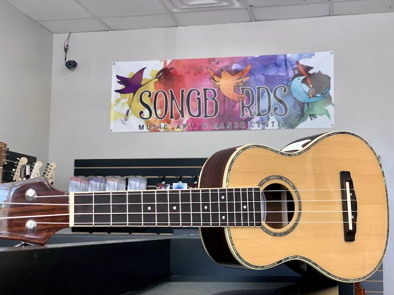 Songbirds Music, Art, & Dance Center