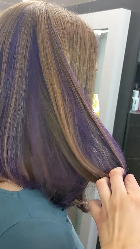 Dollhouse Salon