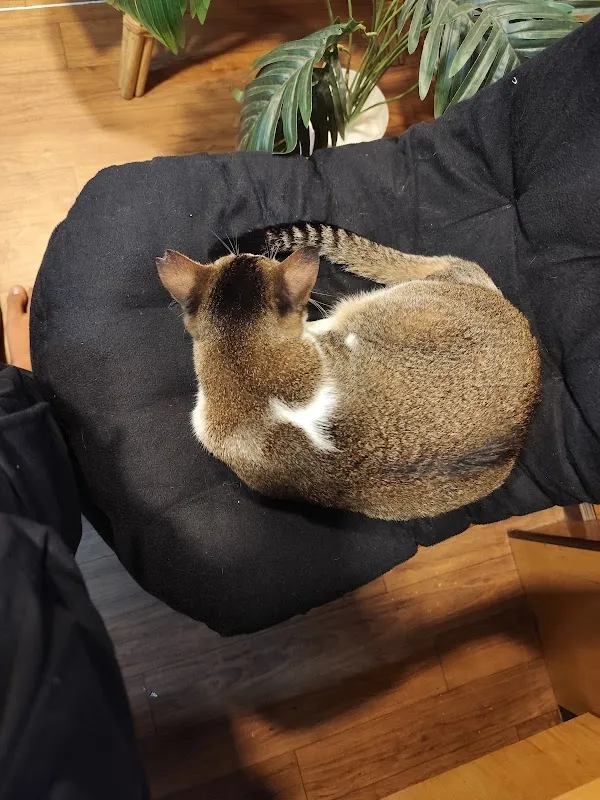 Futuristic Tattoo Studio