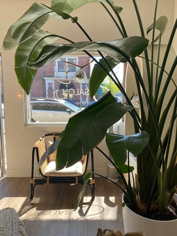 Siren Salon + Lifestyle Boutique