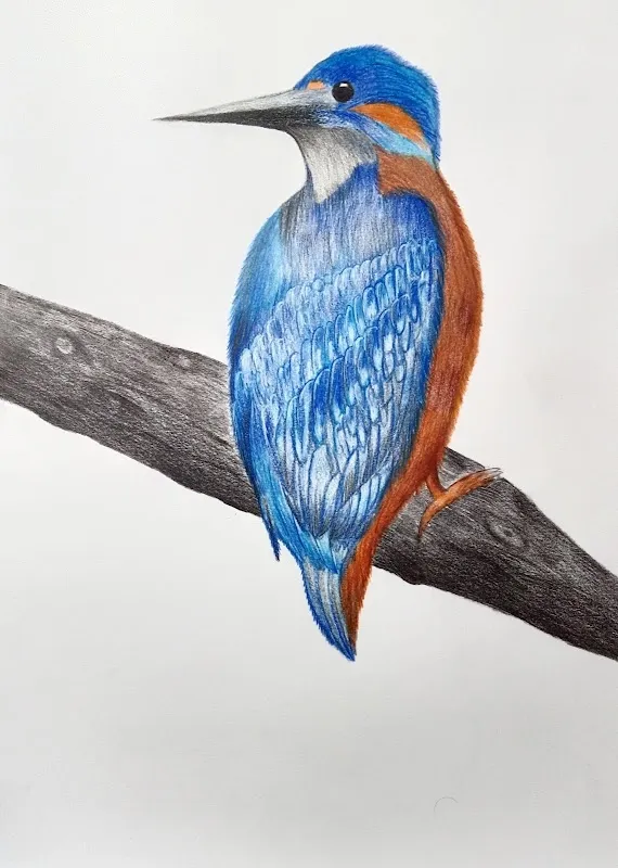 Avinash Art Academy