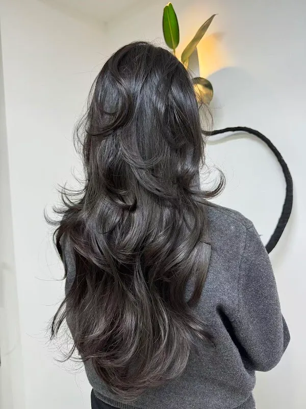 New Fashion Hair Salon