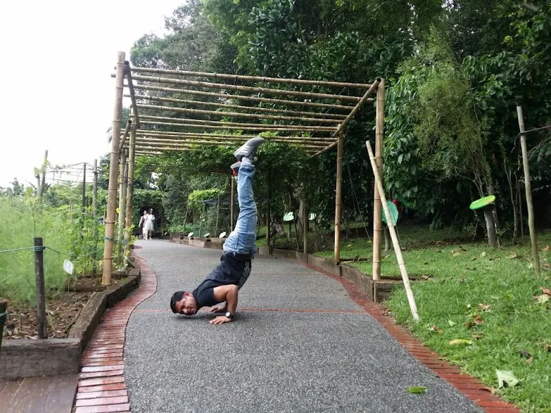 Yogarogyam International Yoga Centre