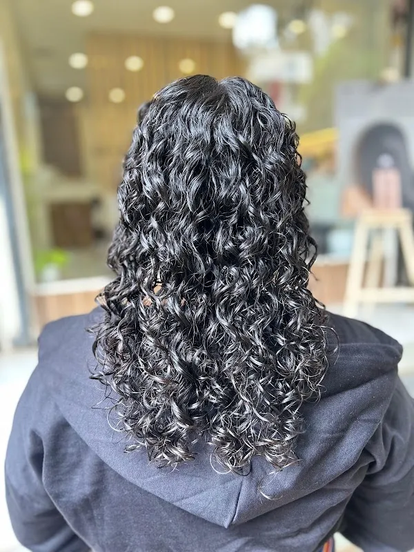 Seven the salon