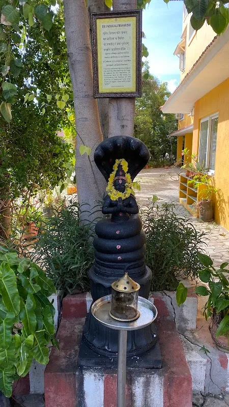 International Sivananda Yoga Vedanta Centre Chennai
