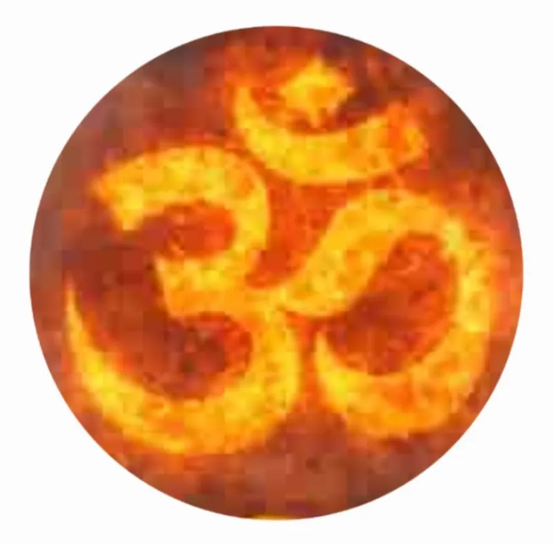 Dilip Kumar Goswami Yoga Instructor