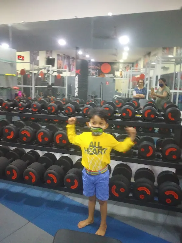 ALIVE FITNESS