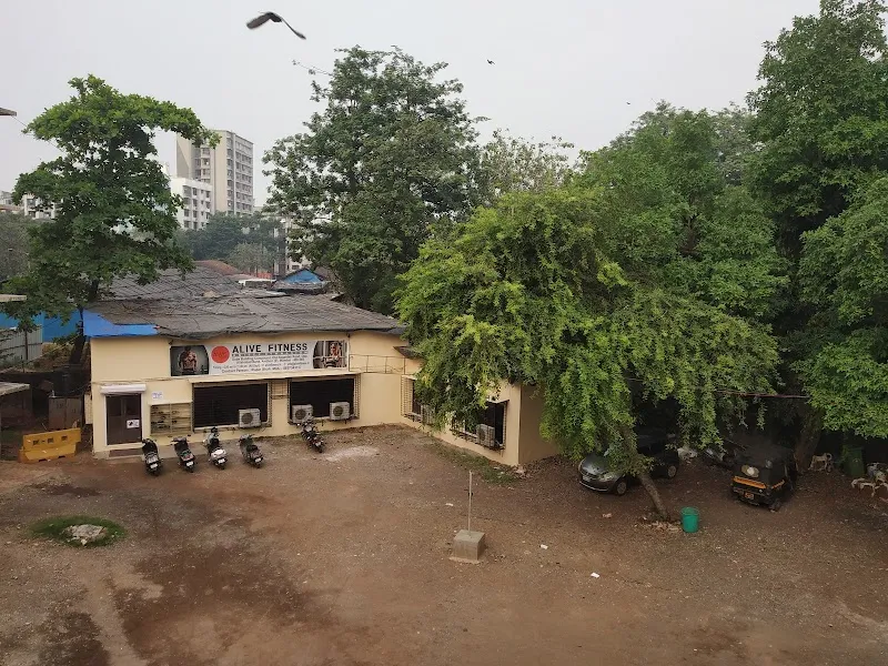 ALIVE FITNESS