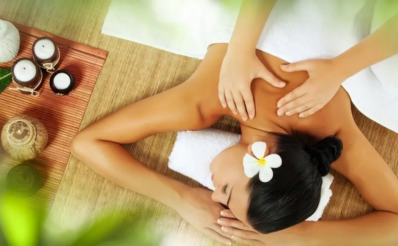 Nirmaya Spa Madiwala BTM Layout