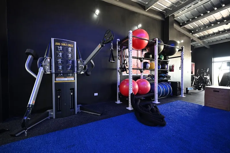 WorkFit Gym
