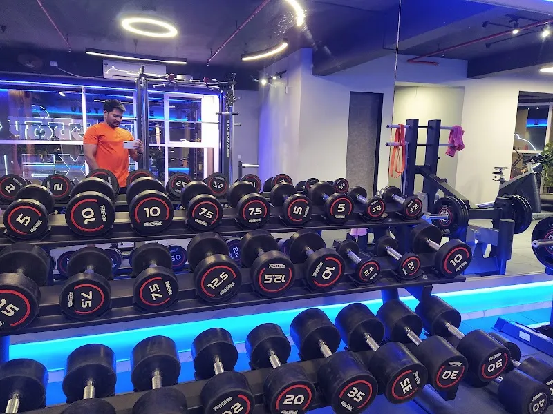 Flex Iron Gym