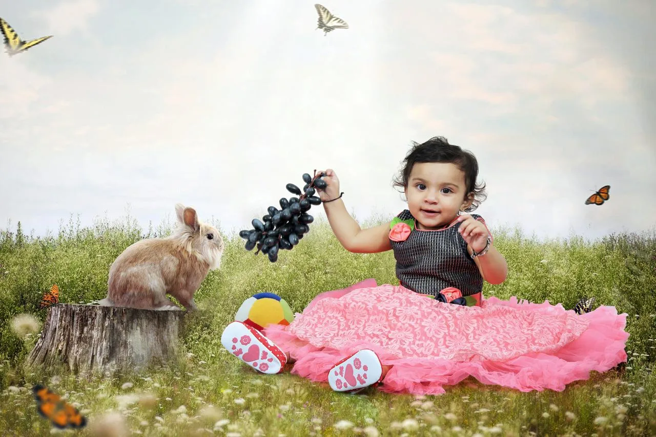 SUN PHOTO (Science City ) Wedding Photographer In Ahmedabad, Photo Frames, Personalized Gifts Items, Photo T-Shirt, Photo Mug
