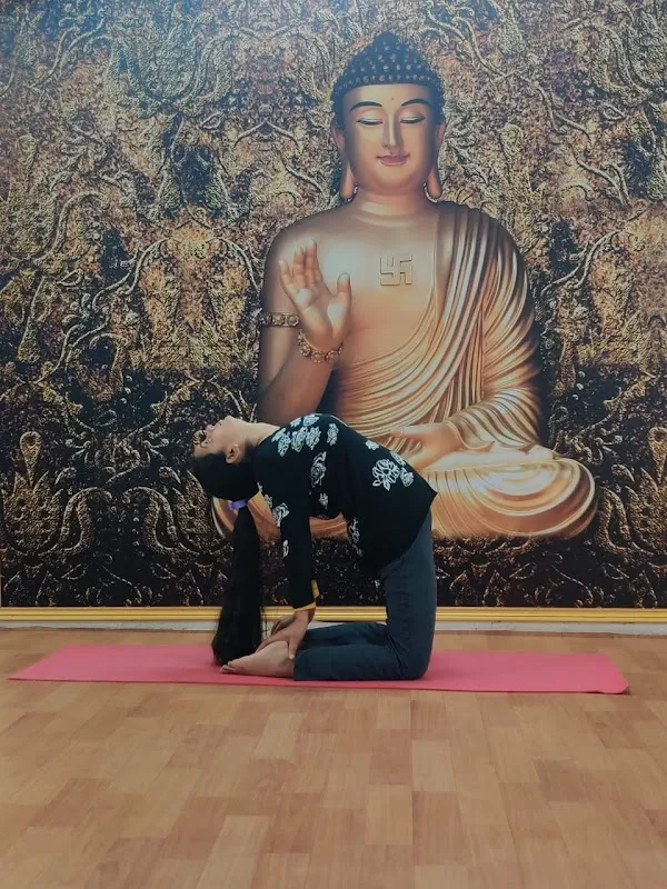 Infinity yoga/ Yoga teacher at home / Yoga Classes in Delhi