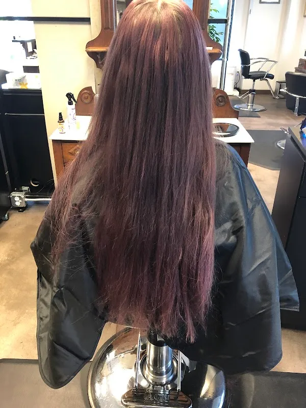 Chaz Salon