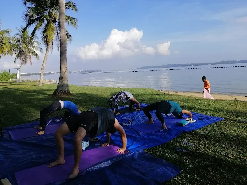 Zoyoga