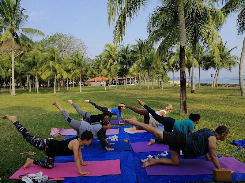 Zoyoga