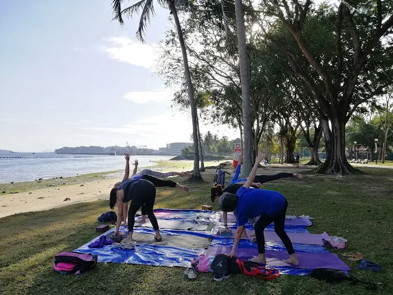 Zoyoga