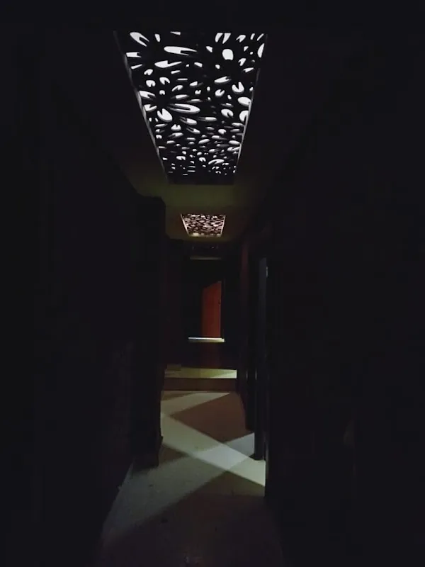 Body Spa Raja Park