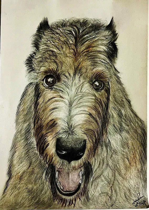 Curioo_arts(sketches,paintings)