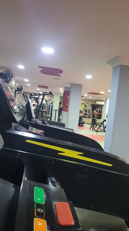 T7 Fitness