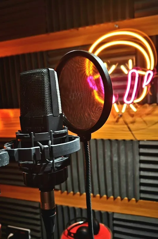 PNV Studios