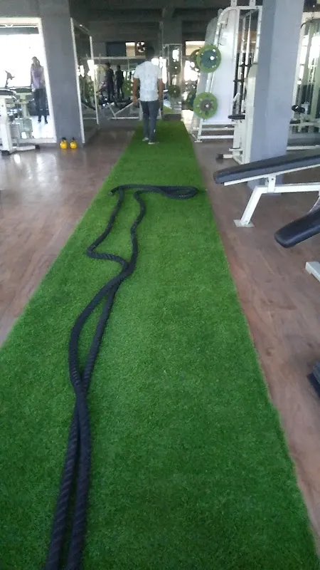 Powerhouse Gym