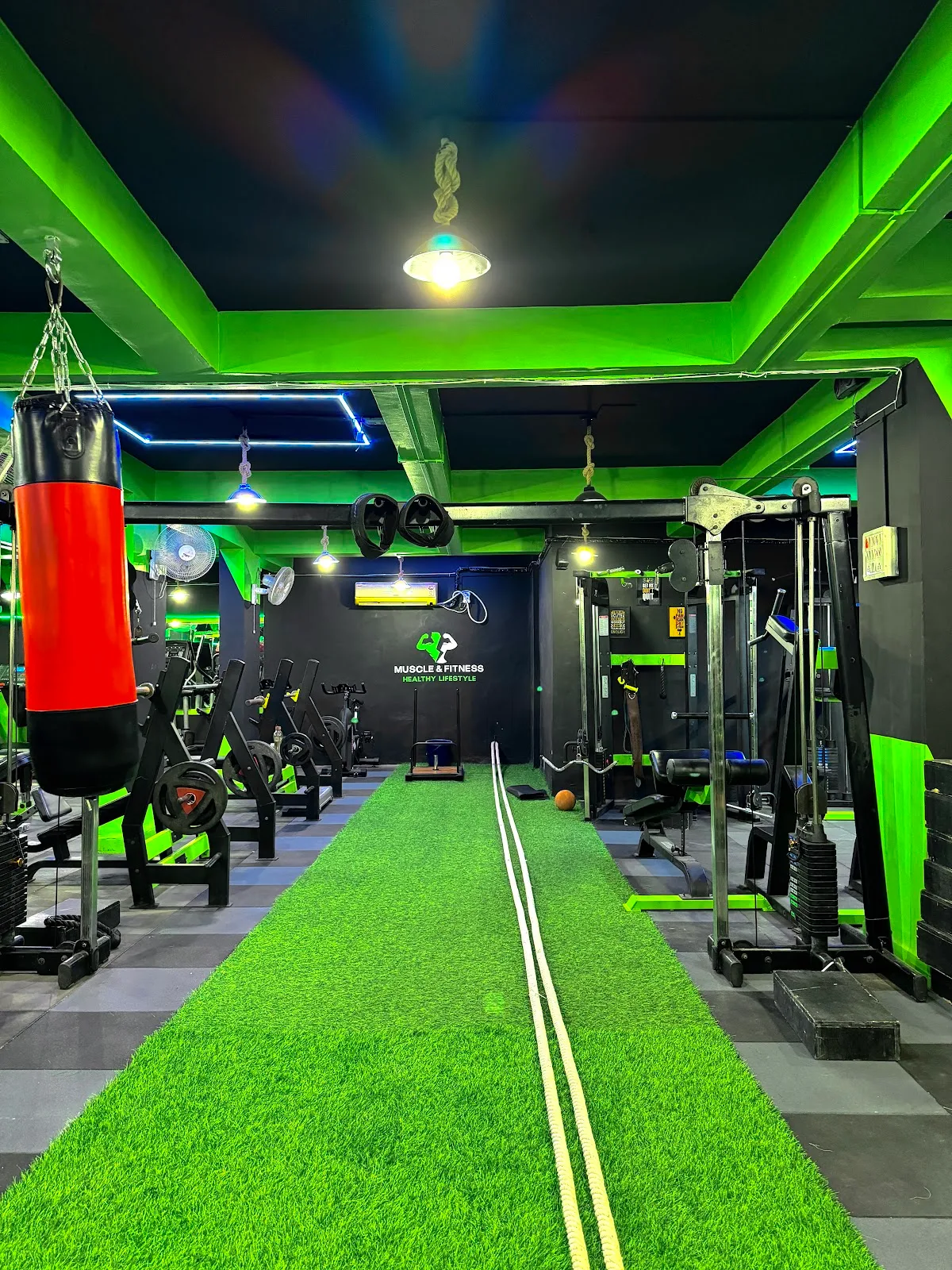 Muscle & Fitness Gym