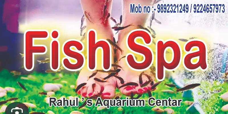Fish spa (pedicure)