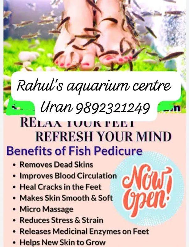 Fish spa (pedicure)