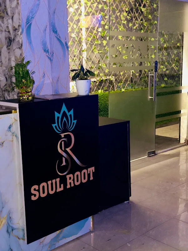 The Soul Root Spa & Wellness