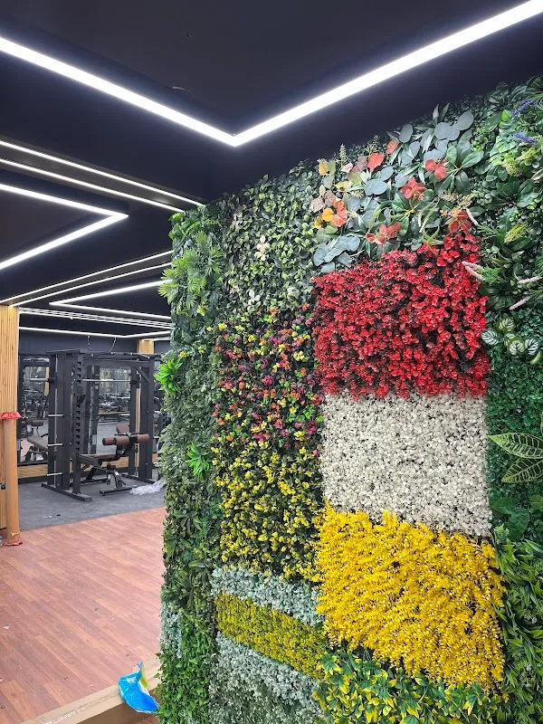 Fit Fusion Gym
