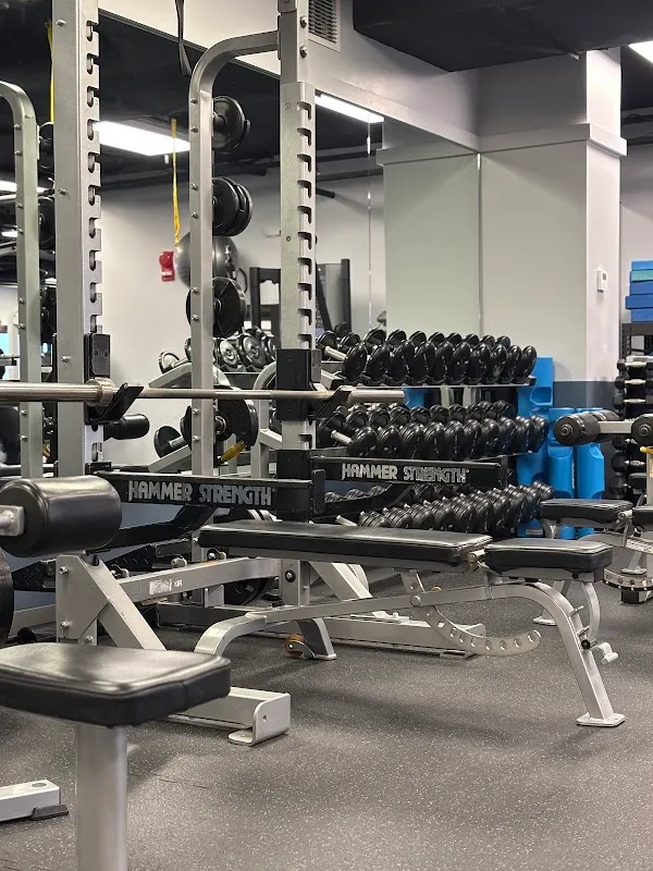 Pulse Fitness