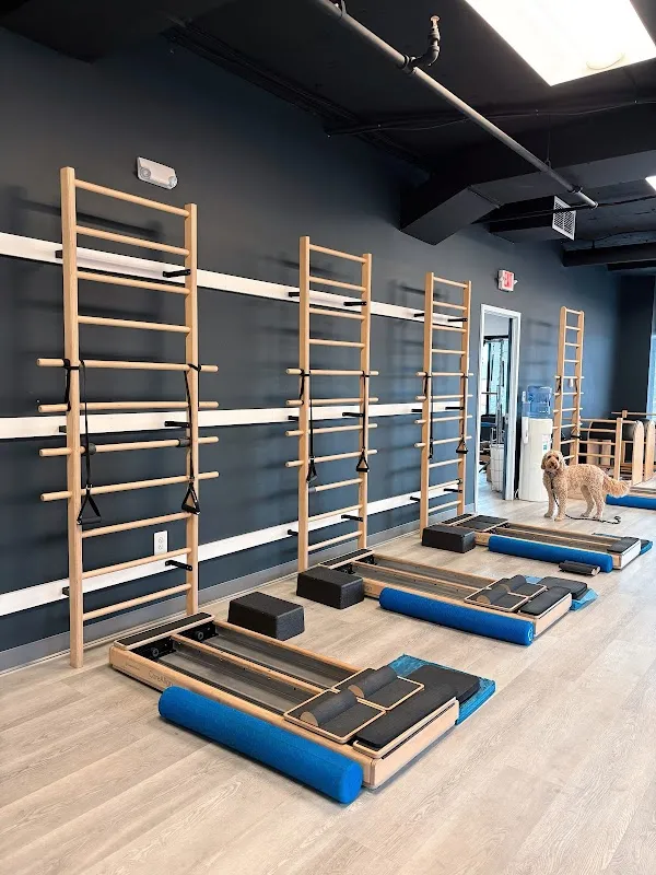 Pulse Fitness