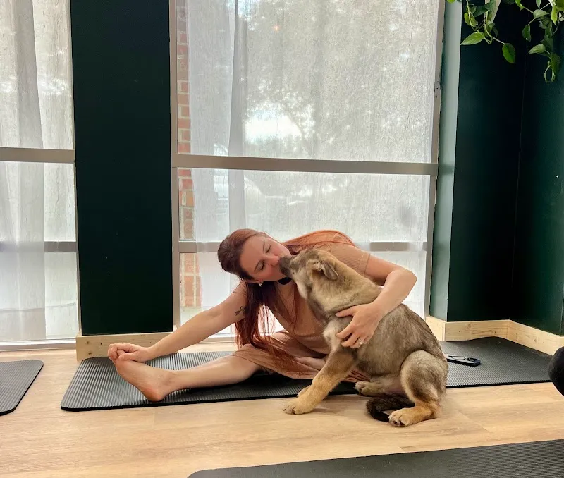 Zen Space Wellness Studios
