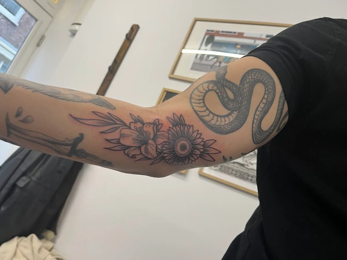 Studio Sailor