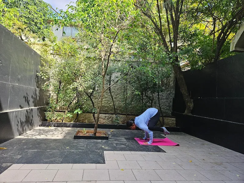 The Yog Club by Tejal Dave