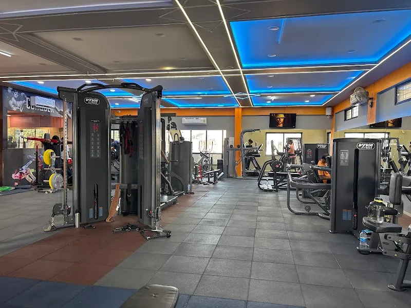 Muscle Matrix Fitness