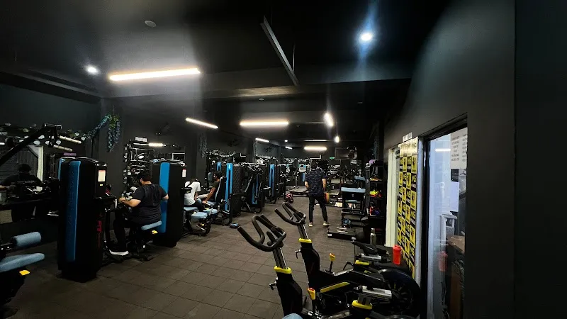 MS Fitness Narela
