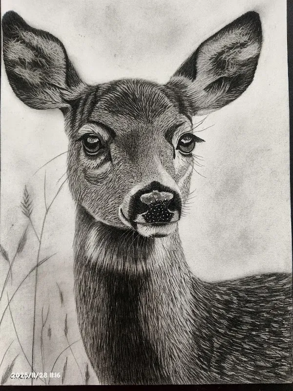 Simsum Arts Miyapur