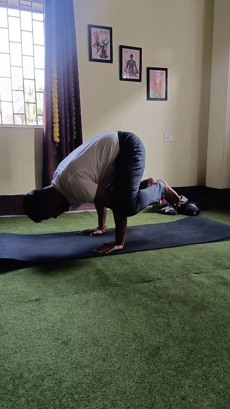 Satmaya Yoga & Ayurveda