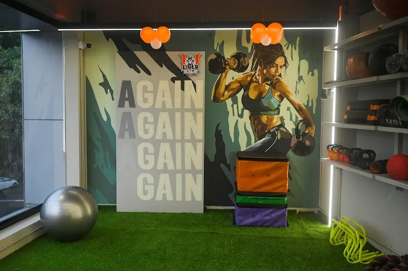 Liger Gym