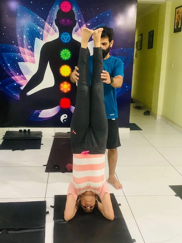 Praptiyog+ aerial yog+iyenger rope+Cupping hijama therapy+ bone setting centre
