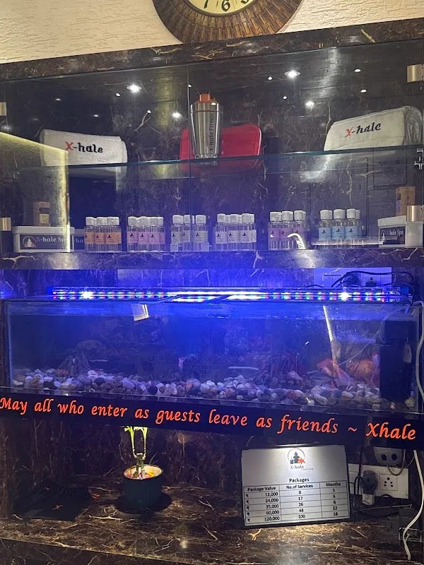 Xhale Wellness C-Scheme