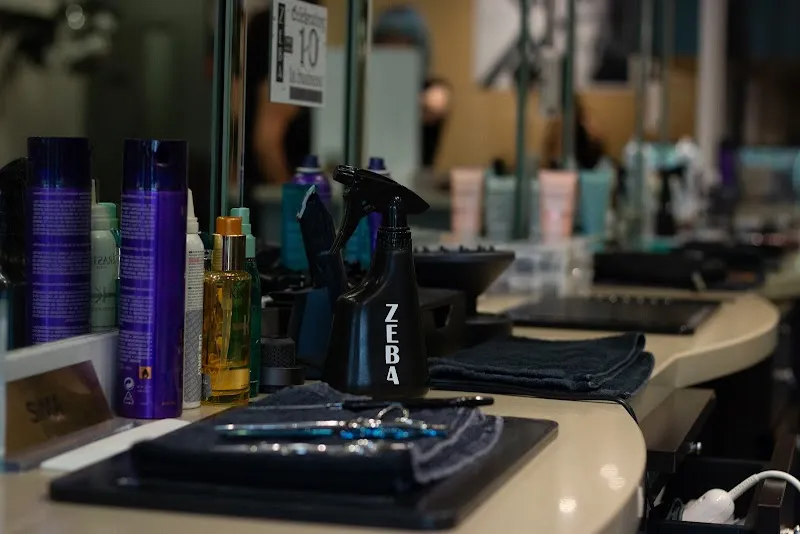 Zeba Hair Salon in Marietta-East Cobb